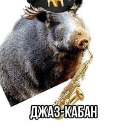 PolnikovI