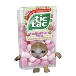Tic