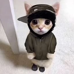 QLayerJr1