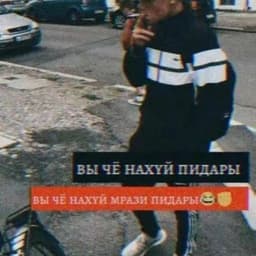 -blssd1337