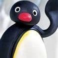 XpPenguin