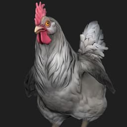 knifechicken