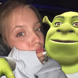 Kotikkotik