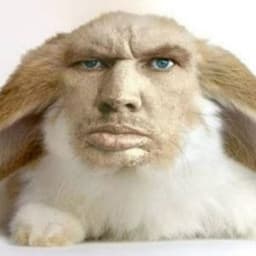 JustWillard