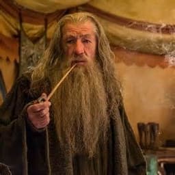 Gandalf771