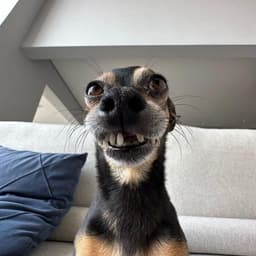 gemikPEEEK
