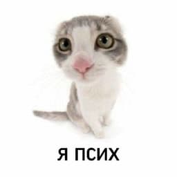-PUSHKA1337