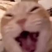 GratedLemon3