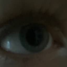 DlyNeeMental