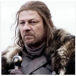 NedStark7