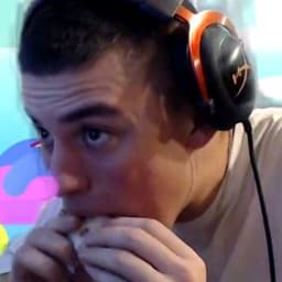 Z1p1nks