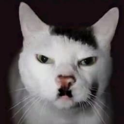 M_s1tt