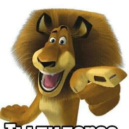 hevStaty9