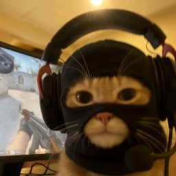 D3VZ_