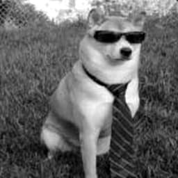 scriptdog