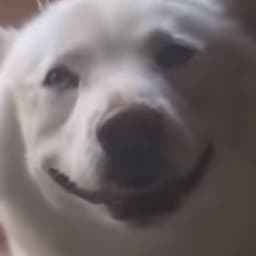 SitOnMe420
