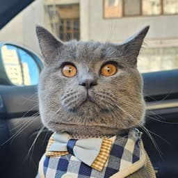 Gigix