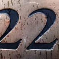 22ElLocO