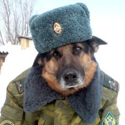 prawilnykazz