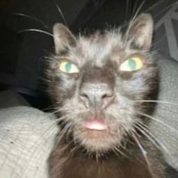 olegarh_