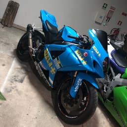 manhoso299