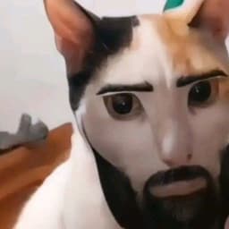 Artemka
