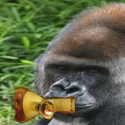 furzaty420