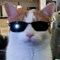 DimaSuh
