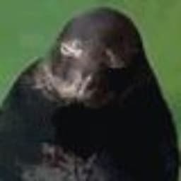 saimooon_