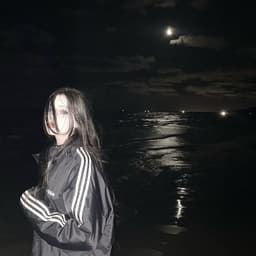 disanturaa