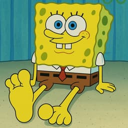 spongefeet67