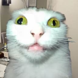 ferzb666