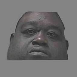 _wsx