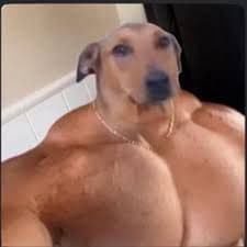 72erik72