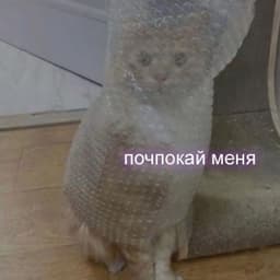_Shadow_Top_