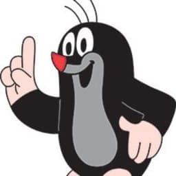 raimo22