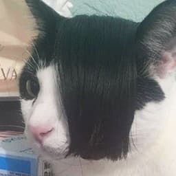 feiticiero
