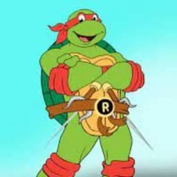 FitRedTurtle