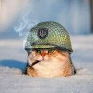 Im_WhisKersS