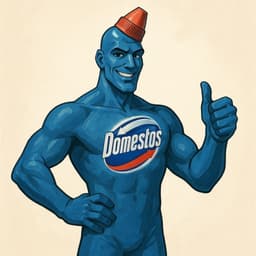 Domestos13