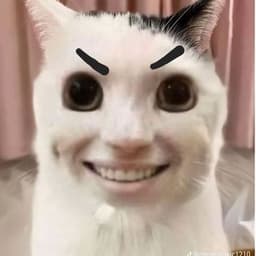 sillpro