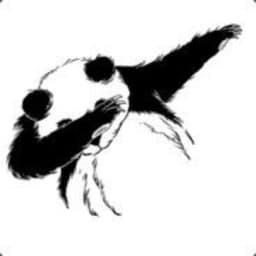 Panda343434