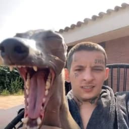 1fershtein