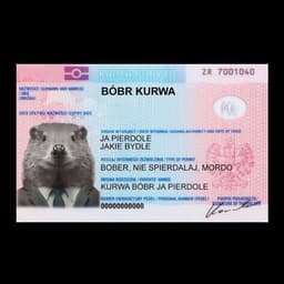 Bober_Fajny