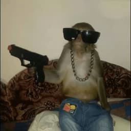 k4tamaran_