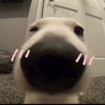 huongcute