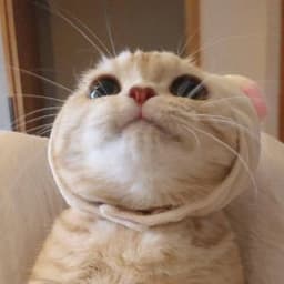 HuWannaWin