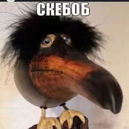 DRTTT