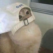 -De_Ja_Vu-