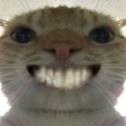 MeoWho